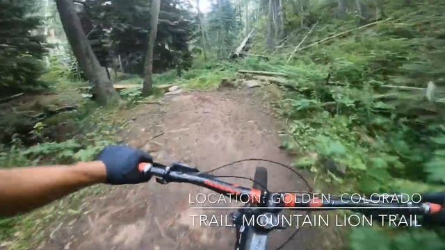 303Adventures. Mountain Lion is SOOooo ... Good??. #Rowdy #Rocky #Rooty #Slippery смотреть онлайн
