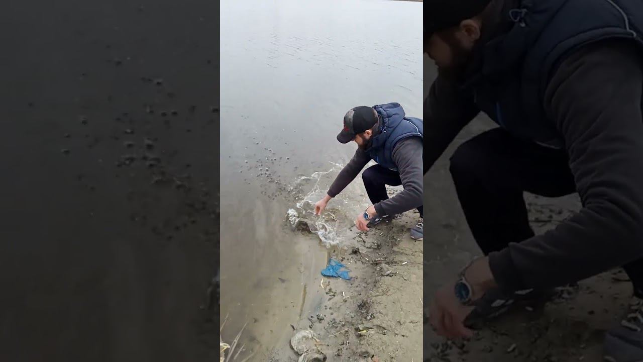 отпускаю судачка смотреть онлайн