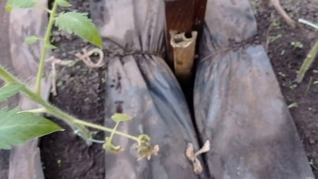 Из какого материала сделаны столбы на теплицу смотреть онлайн