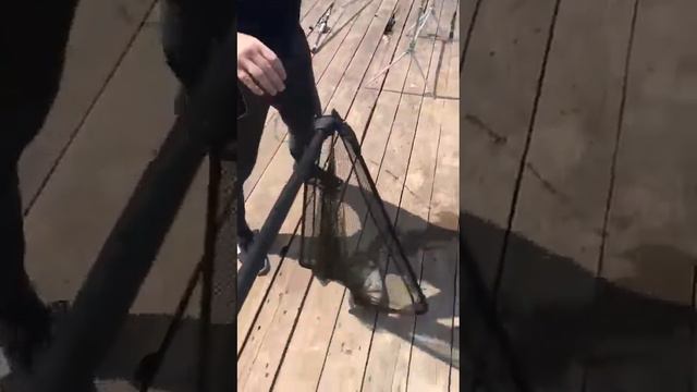 Три Пескаря смотреть онлайн