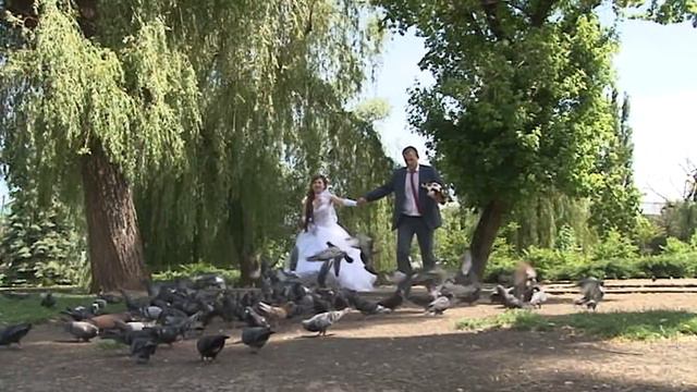 Свадебная прогулка. Алексей и Марина 23мая2015 смотреть онлайн