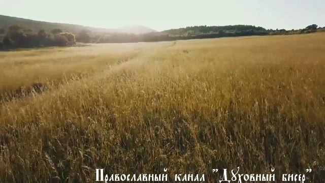 Избегай всякого Любопытства в своей жизни! Наставления монаха и проповедника Фомы смотреть онлайн