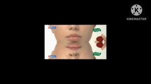 Анонс и реклама (Россия-1, 12.10.2022) (2) in 4ormulator V19