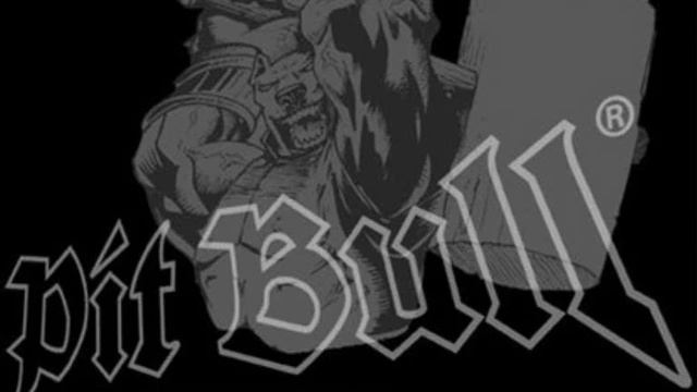 PIT BULL GERMANY RAP (KEIN NAZI RAP) смотреть онлайн