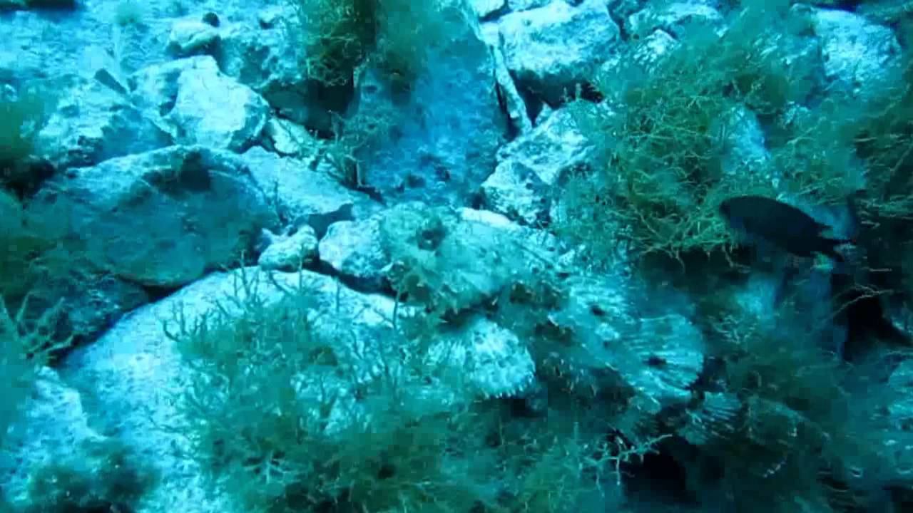 Мальта.avi смотреть онлайн