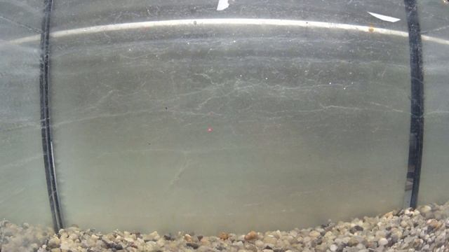 ВИБЫ КОТОРЫЕ ЛОВЯТ ! ЧТО ДЕЛАТЬ ЕСЛИ ВИБ НЕ ЛОВИТ?