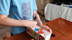 Делаем кормушку из коробки от сока