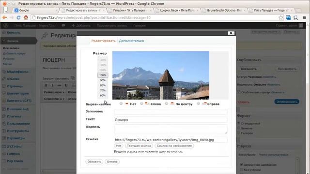 03 - работа с Wordpress - изображения, Nextgen gallery смотреть онлайн