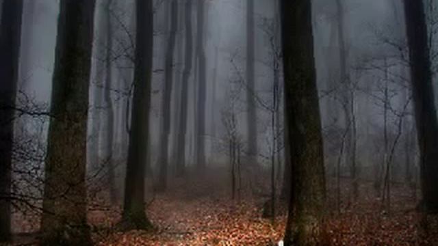 Learning To Read The Tarot Lesson No 3: The Court Cards Meet The Family