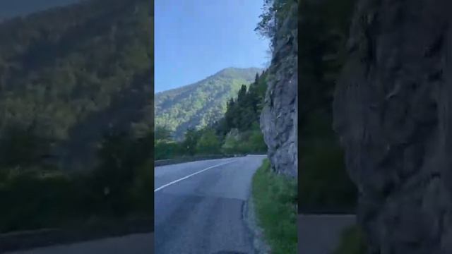 Абхазия. Экскурсия на озеро Рица смотреть онлайн