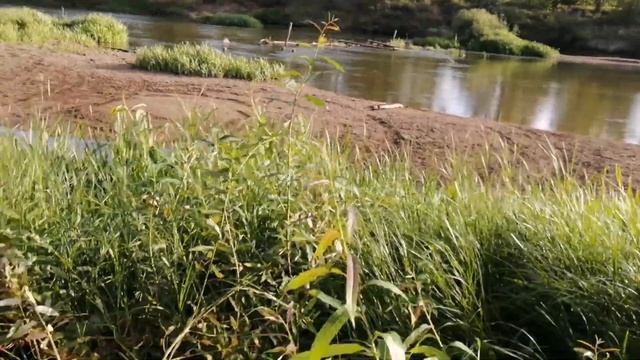 Прогулка Самарская область, Кинельский р-н, село Бобровка река Самара и озеро у дома 22 августа 202 смотреть онлайн