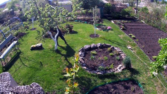 Сад, Южный Урал, первая стрижка газона, 16 05 2023 смотреть онлайн