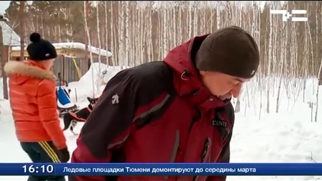 Тюменская упряжка ездовых собак стала самой быстрой смотреть онлайн