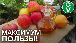 СЕКРЕТЫ ПРИГОТОВЛЕНИЯ ЯБЛОЧНОГО УКСУСА. Эти нюансы сделают УКСУС полезным и вкусным!