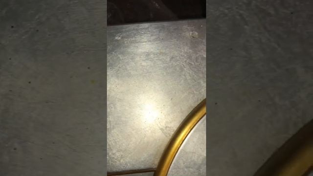 29 октября 2023 г.