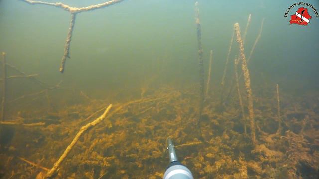 Лида. Торфы. Подводная охота. смотреть онлайн