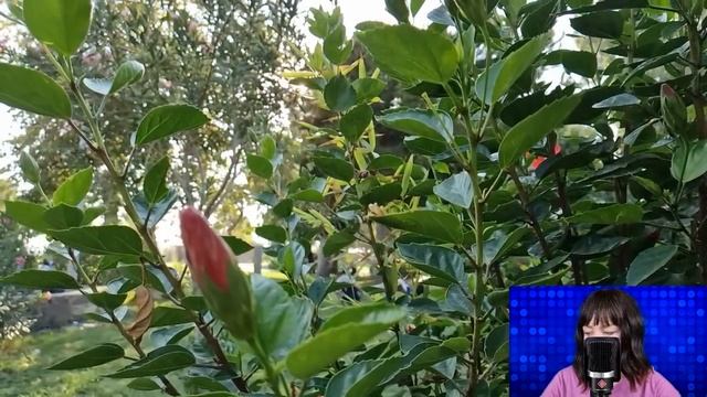 Таня застыла у порога, когда муж не пустил её домой. И когда жена узнала, что сказала ему свекровь. смотреть онлайн