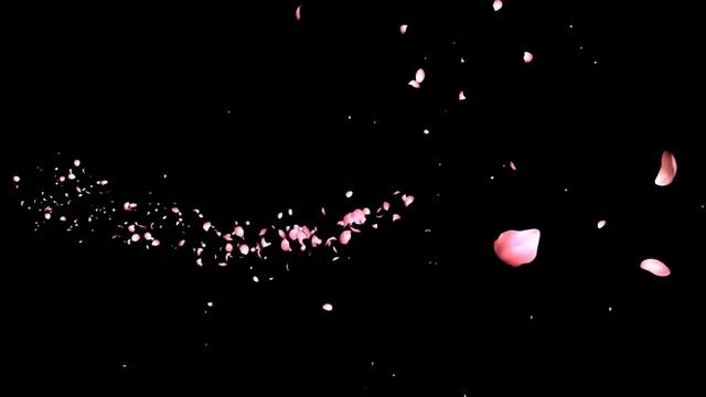 Футаж- хромакей.Фейерверк лепестков розы. Rose Petals Background Green Screen смотреть онлайн