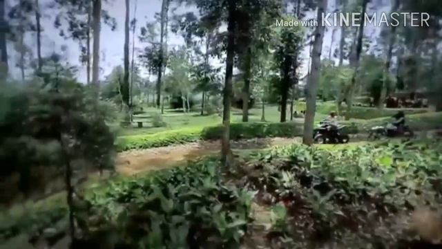 Dinamika Kependudukan Indonesia (IPS kelas 7 Semester Ganjil 2020/2021) смотреть онлайн