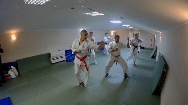 Выпуск 34. Всё о Косики каратэ. Стилевая основа Российского Косики каратэ. Часть 2. смотреть онлайн