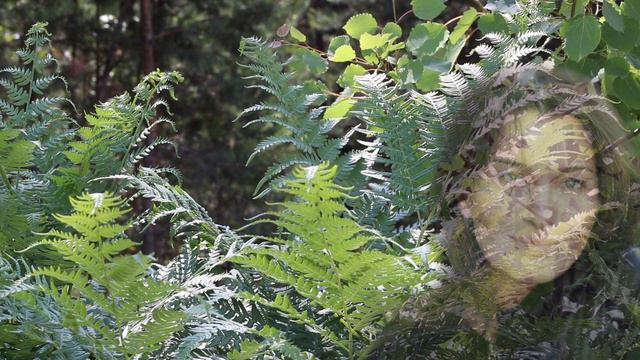 Не пропустите знаки, посланные богами смотреть онлайн