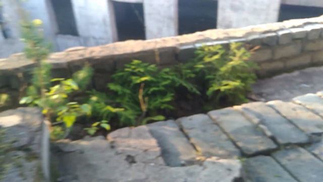 Недострой в лесу на окраине Хотьково. Исследую заброшку с Верой. Идем наверх. смотреть онлайн