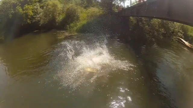 Манихино, ДУШ, EAAT смотреть онлайн