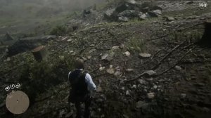 Превосходный дятел в RDR2