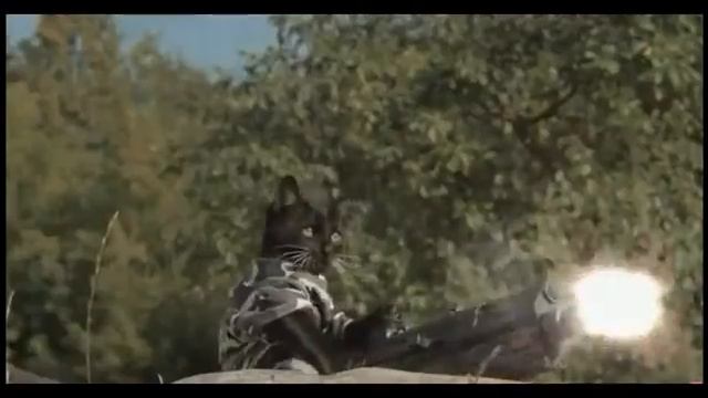 Кошки против зомби!