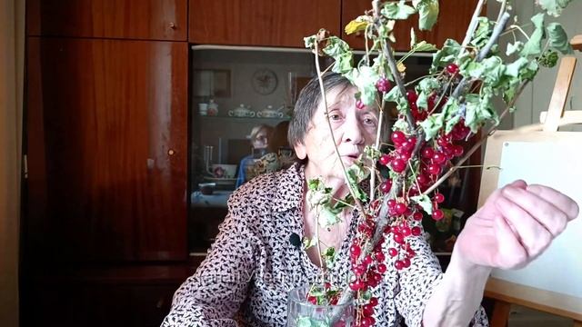 Смородина красная. Формирование и обрезка куста в зависимости от посадки. смотреть онлайн