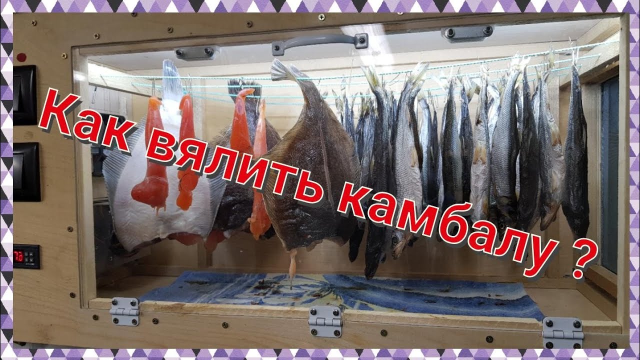 Сергей Лебедев Камчатка. Рыбалка, охота, туризм !