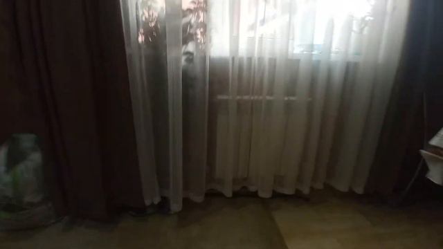 Адлер. Продаю квартиру. 60м2 Хоста. 2 комн. Ипотека Сбера. 89182070046 смотреть онлайн