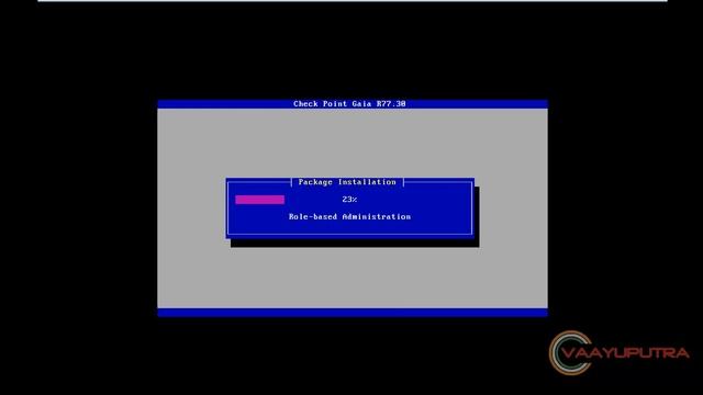 Checkpoint R77.30 Gaia Installation in VMware смотреть онлайн