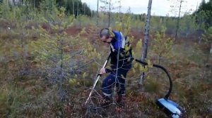 Заработок на сборе клюквы, милион за месяц пылисосом....