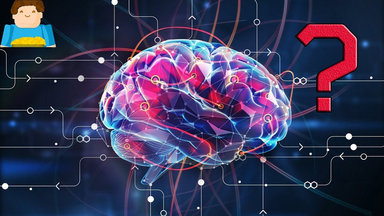 Как много информации может хранится в нашем мозге? | Plushkin смотреть онлайн