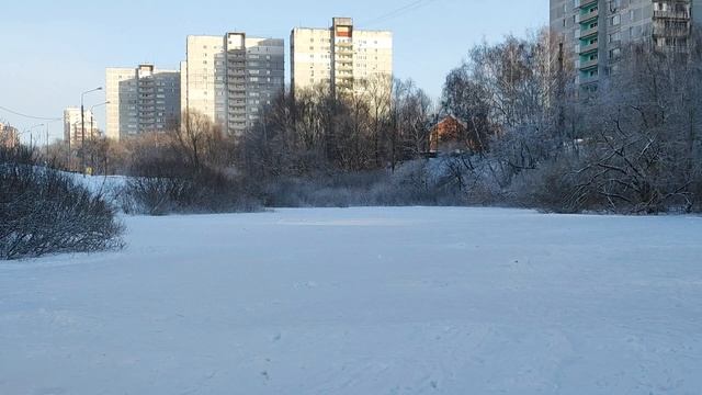 Видное Тарычёвский пруд смотреть онлайн