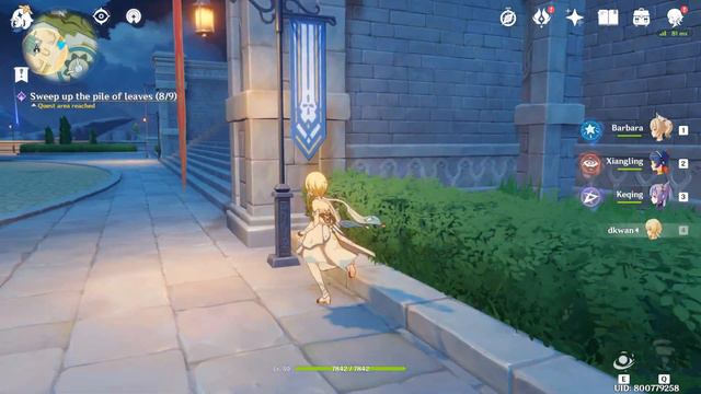 【Genshin Impact】Commission Quest - Sweep up the pile of leaves смотреть онлайн