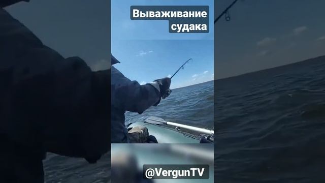 Вываживание судака #рыбалка #рыбалка_в_каменском #verguntv #весенний_клев #fishing смотреть онлайн