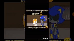 Соник и Метал Соник друзья