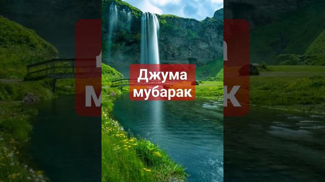 Джума мубарак что это значит ? #подпишитесь #коран #ислам #палестина #джума #мубарак смотреть онлайн