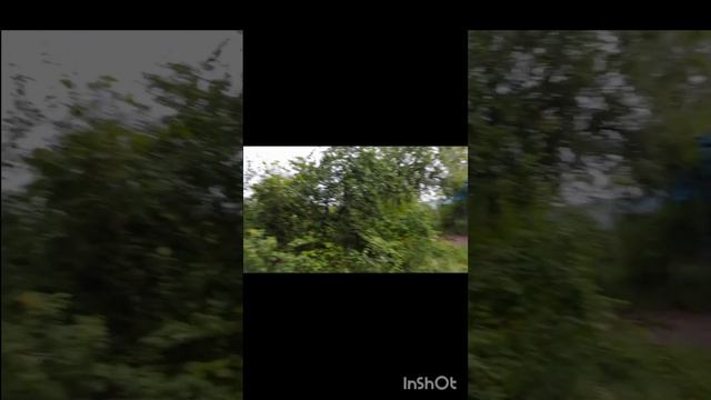 Отдых на природе, праздновали день рождения старшего сына подруги... ❤🥰 смотреть онлайн