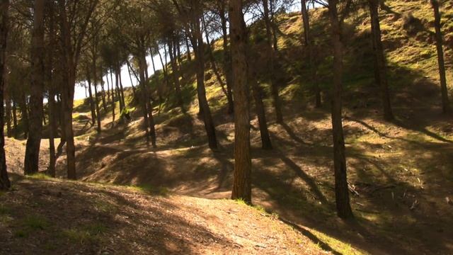 GT Zaskar Carbon 9R Expert