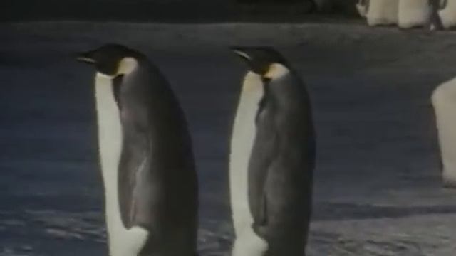 Jean-Michel Jarre - Oxygene 4