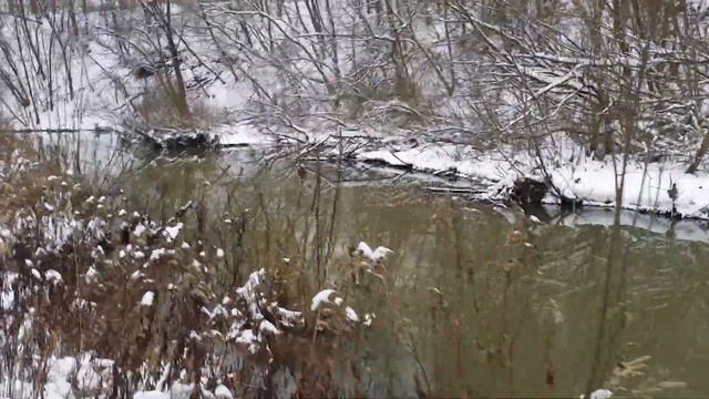 Москва. Бибирево. Чермянка - дикая глухомань. Часть 2. смотреть онлайн