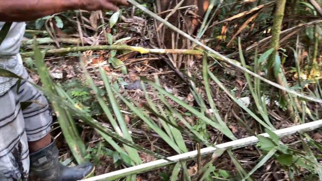 Hunters Of The Amazon Jungle: The Waorani Tribe