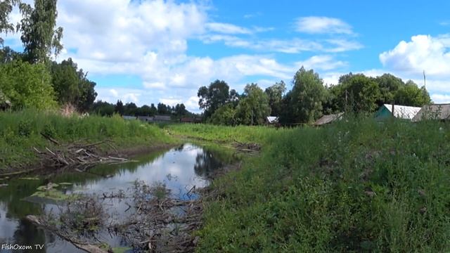 ОТОРВАЛА поводок и снова КЛЮНУЛА! Ловля ЩУКИ на живца! Ловля на кивок смотреть онлайн