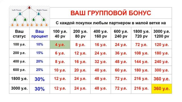 Маркетинг план для новичков смотреть онлайн