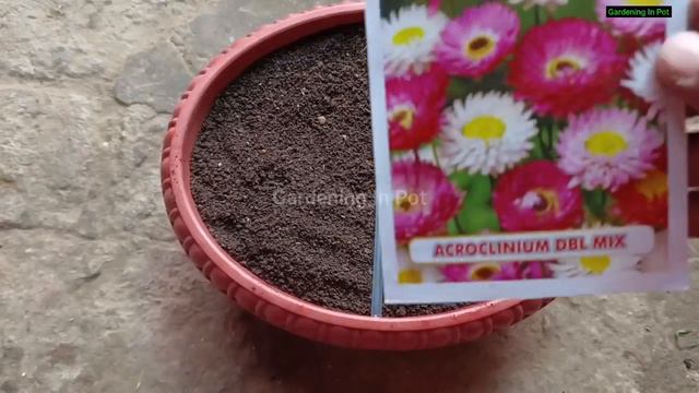 दिसम्बर मे लगाये सर्दियों के 20 फूलों के बीज / Winter Flower Seeds Sow in December / Winter Flower смотреть онлайн