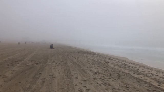 Coastal Fog Walking Tour in Hermosa Beach California смотреть онлайн