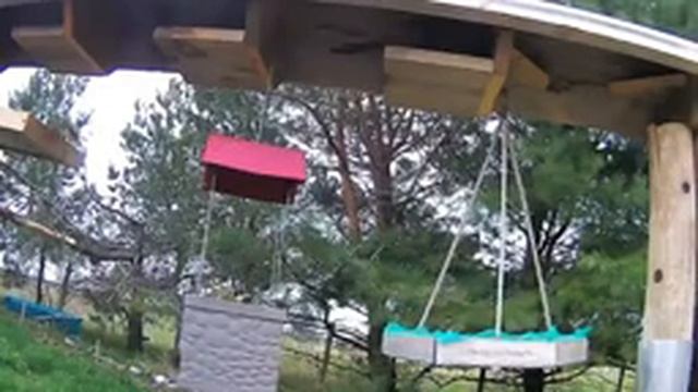 2021 Apr 14 Livestream bird feeding station. Ripley, Ontario Canada by AtHomeFriendlyTecGuy смотреть онлайн